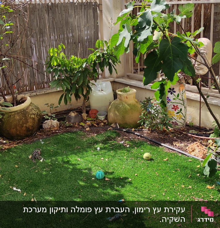 עציצים גדולים וצמחים בגינה קטנה